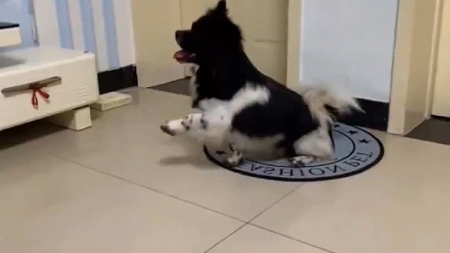 向往的生活，发光的日子，自由自在的生活