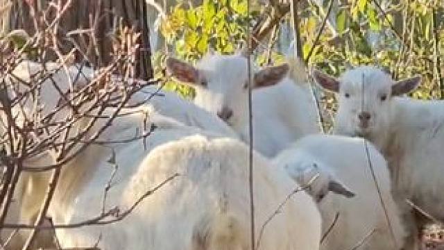 生命的意义不仅仅在于赶路，更在于欣赏路边的风景。
#户外 #风景 #南京 #保持热爱奔赴山海 #放飞