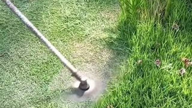 我发布了一个新视频，快来围观吧！