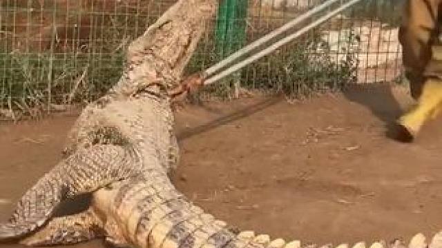 这小伙子太狠了