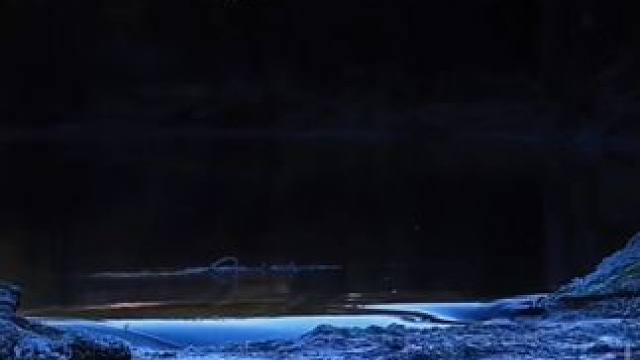 如果有来生，你最愿意遇见谁？或者说，你还希望有来生吗？#来生缘 #一起走过的日子 #钢琴 #诗和远方