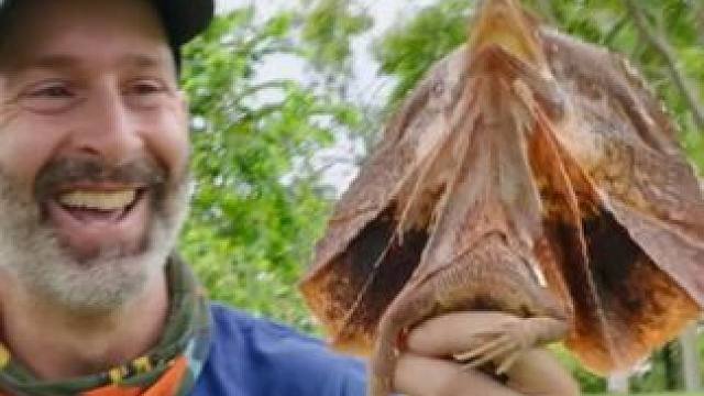 野生动物零距离~