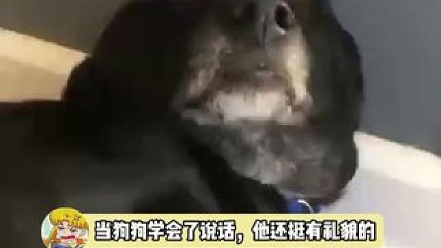 你说他有礼貌吧 他管你叫b*h， 你说没礼貌吧 他会用"请"