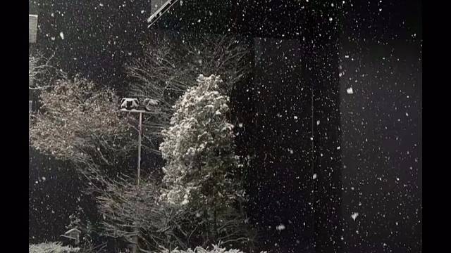 穿过这场雾就是柏林的冬