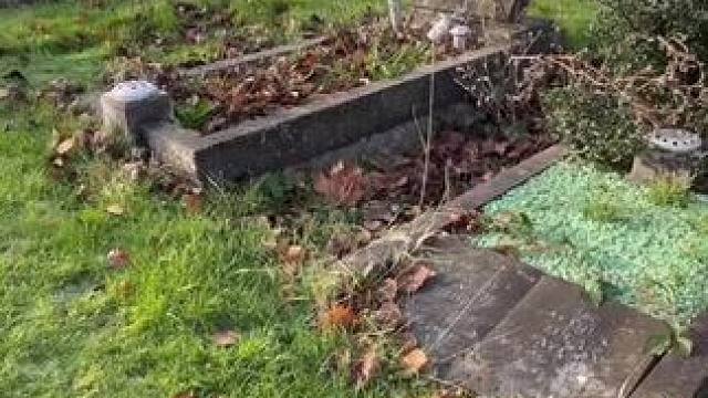 我发布了一个新视频，快来围观吧！