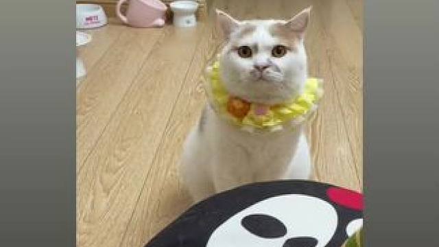 我发布了一个新视频，快来围观吧！