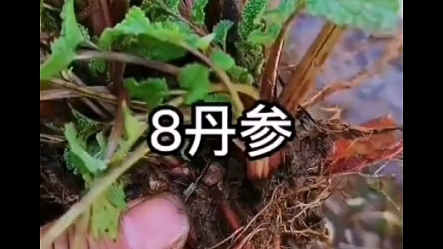 这个知识你知道吗？