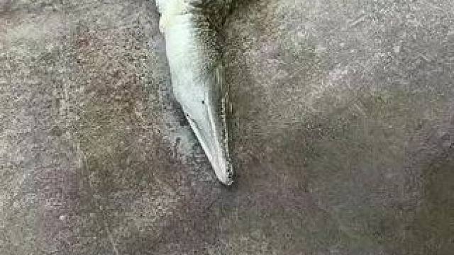 我发布了一个新视频，快来围观吧！