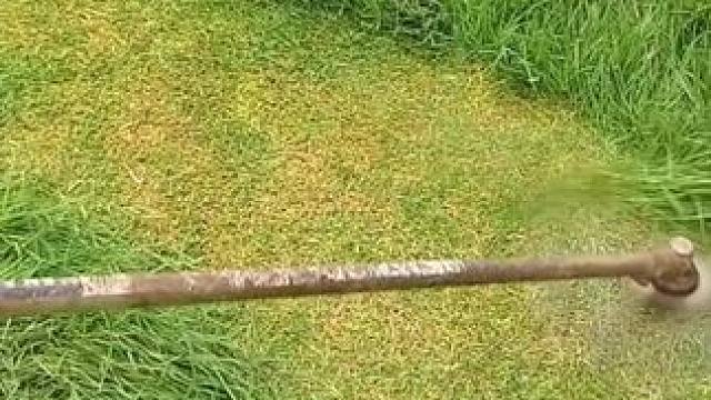 我发布了一个新视频，快来围观吧！