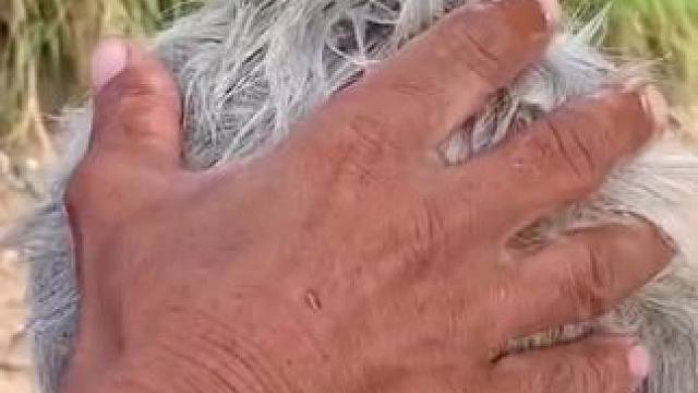 我发布了一个新视频，快来围观吧！