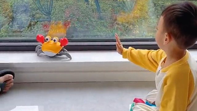 老公闲儿子太缠他了，今天下班竟然带来个自动感应螃蟹回来，玩嗨了！能抓一下午，确实不缠爸爸了，夜里睡的