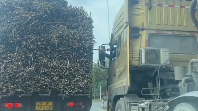 还以为是偷甘蔗了[笑cry]