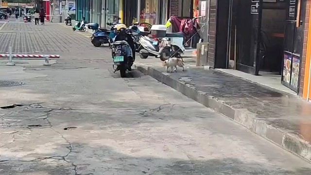 请欣赏，太空猫步