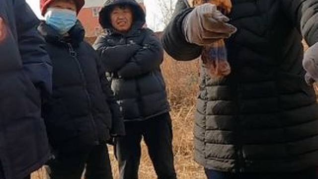 房车穷游河北被村里的情报组织围观，冒着身败名裂的风险开门畅谈 #床车旅行 #床车生活 #村里那些事 