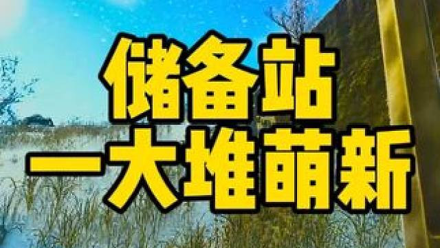 #逃离塔科夫 一大堆萌新一起玩是什么体验