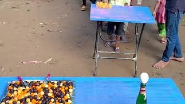 今日游戏，一群幼崽的挑战