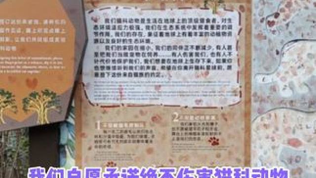 真的希望所有动物园都能变成这样，带头尊重和保护动物！#娱乐评论大赏 #南京红山森林动物园 #广州动物