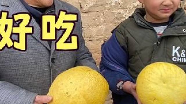 农村苦柚子没人吃，老人小孩爱不释手，好吃就是太苦了 #回村的生活 #农村老家 #摘柚子 #我要做爆款