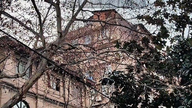 农民的朋友都是农民-国礼航海帆