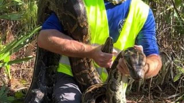 专业操作请勿模仿~