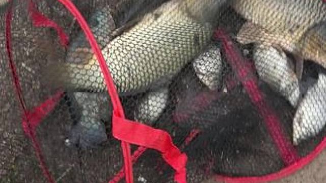 我发布了一个新视频，快来围观吧！