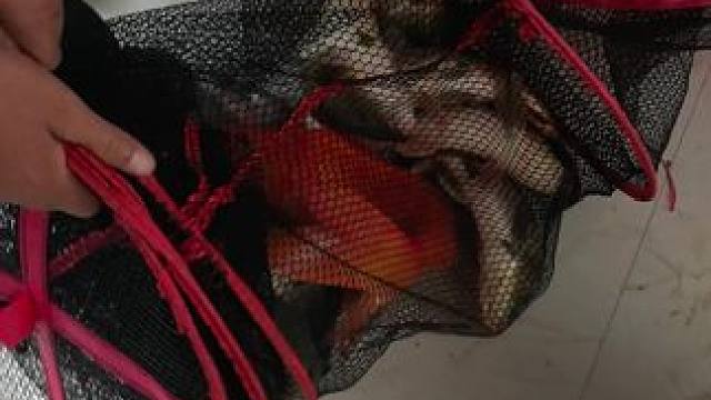 我发布了一个新视频，快来围观吧！