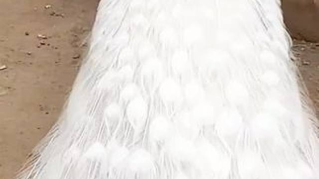 开启美好的一天~