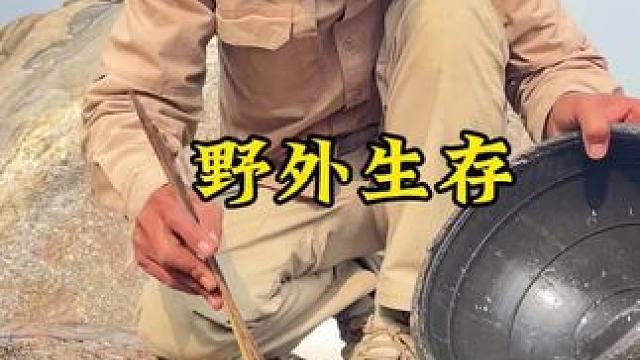 割茅草完善庇护所，没想到又发现罕见的灵芝蟹
#户外 #野外生存 #荒岛生存 #游戏