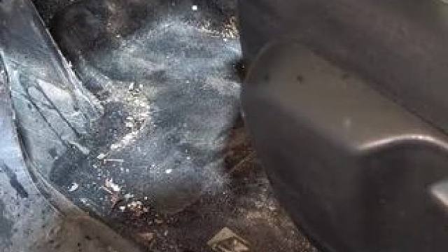 我发布了一个新视频，快来围观吧！