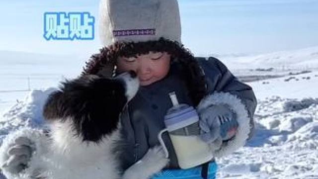 我嘞个豆 冬季的呼伦贝尔太酷了！