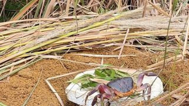 #野外生存 #户外