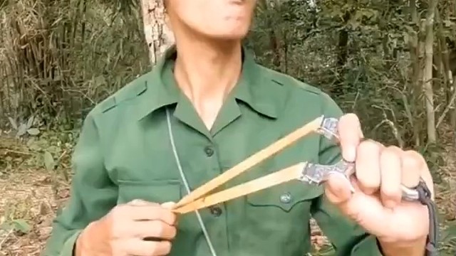 鸟看到:太可怕了