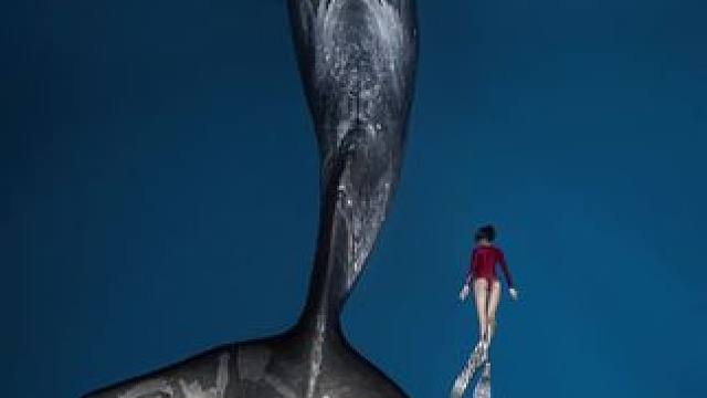 绝美水下大片
：BlueSoul摄影师
#随手拍带你看风景 #画面太美 #一不小心就误入仙境了 #旅