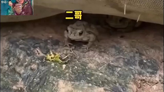 3DP3，来一起盘他。