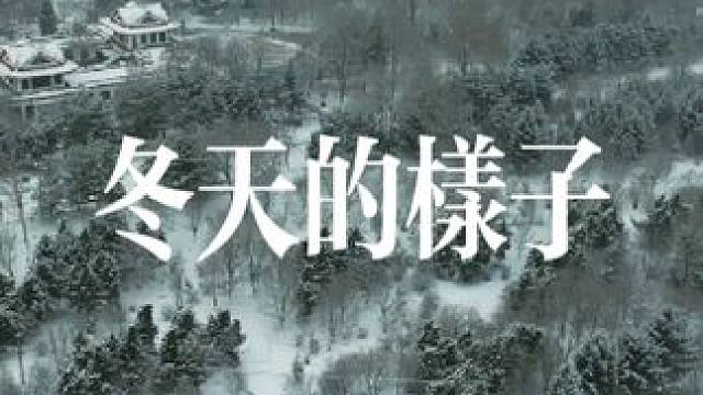 南方的朋友看过来，这里才是冬天该有的样子#旅行推荐官 #冬天该有的样子 #带你看雪 #本溪水洞