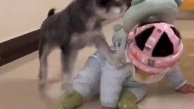 小孩：你当年在球场不是很叼吗，我让你叼