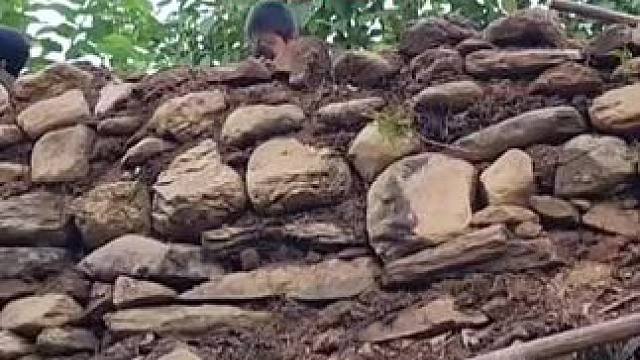 莲娜被丈夫赶出家门的最新进展#荒野求生 #野外生存 #农村生活