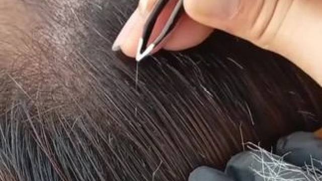 好用的夹子#夹子#毛夹