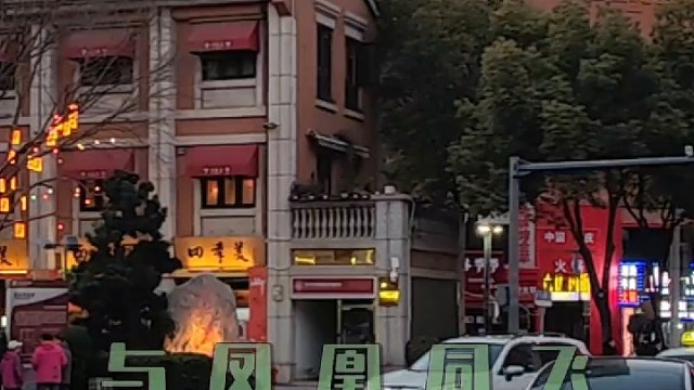 鸟随鸾凤飞腾远-国酒航海帆