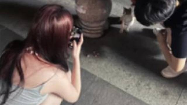 我迟早也会变成你落灰的歌单