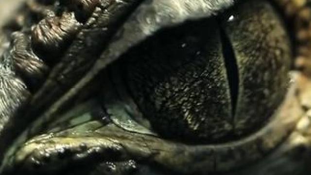 男子用狙击枪捕鱼，美式抄网真是一点不带墨迹