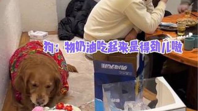 好吃爱吃 #娱乐评论大赏 #金毛 #万万没想到 #萌宠