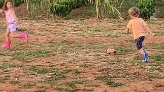 野生动物零距离~