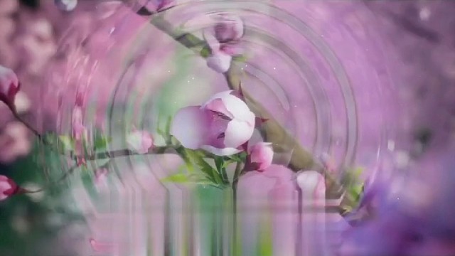 剑侠人生：行走江湖，笑傲风云！