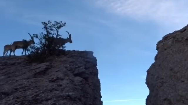 人生不易，珍惜当下，勇敢前行