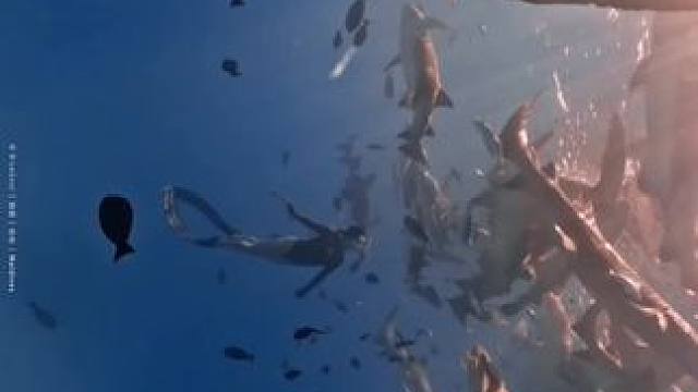 音乐一起，氛围感就来了
#随手拍带你看风景 #画面太美 #一不小心就误入仙境了 #旅行随拍 旅