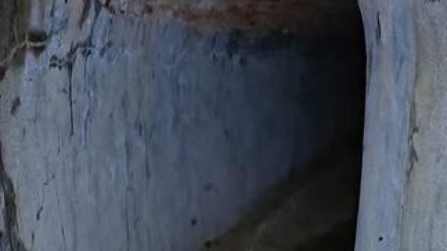 探险时刻
#探险 #南京 #冒险 #恐怖 #刺激