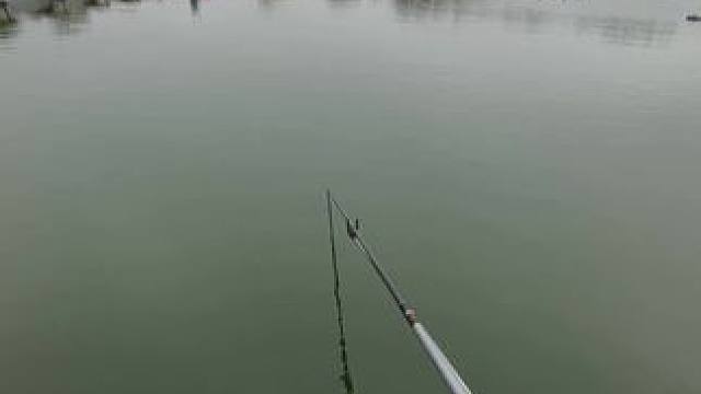 我发布了一个新视频，快来围观吧！