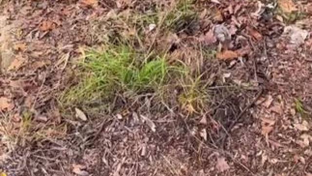 我发布了一个新视频，快来围观吧！