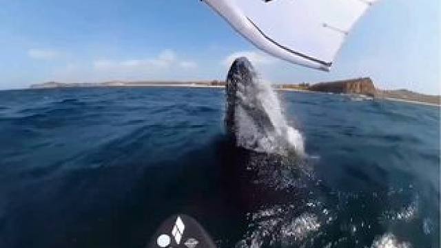 浪漫世界值得孤身#极限风景 #孤独感